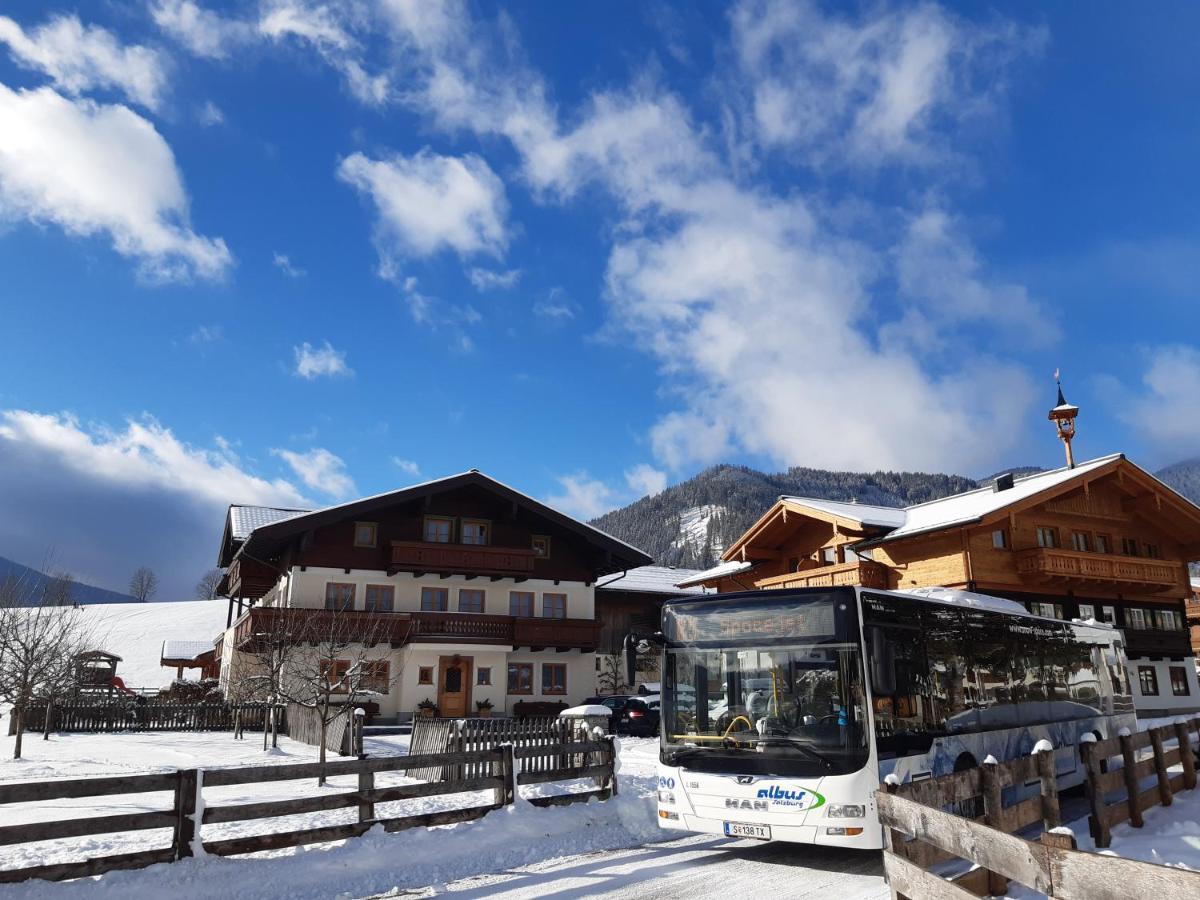 Ransburggut Flachau